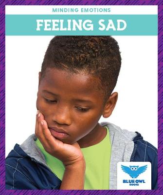 Book cover for Feeling Sad