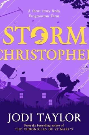 Cover of Storm Christopher