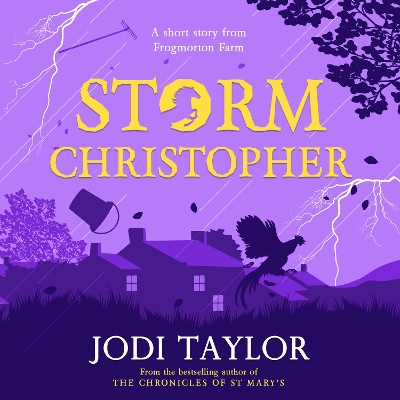 Book cover for Storm Christopher