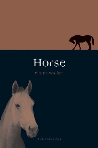 Cover of Horse