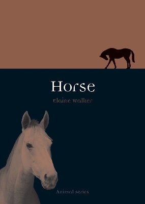 Cover of Horse