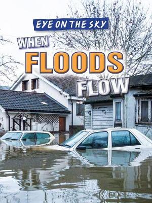 Book cover for When Floods Flow