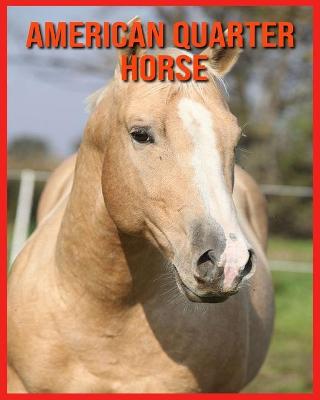 Book cover for American Quarter Horse