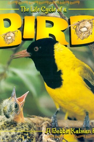 Cover of The Life Cycle of the Bird