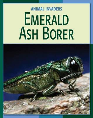 Book cover for Emerald Ash Borer