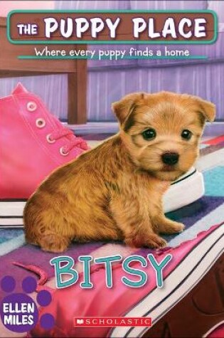 Cover of Bitsy