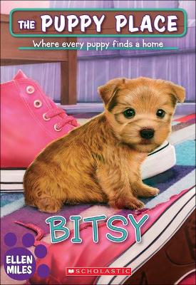 Book cover for Bitsy