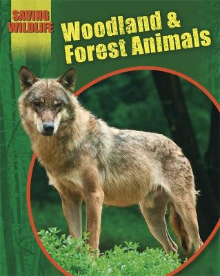 Book cover for Saving Wildlife: Woodland and Forest Animals
