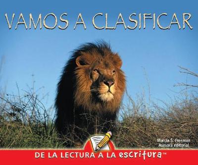 Book cover for Vamos a Clasificar