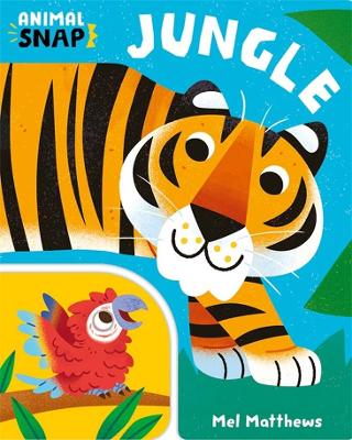 Book cover for Jungle (Animal Snap)