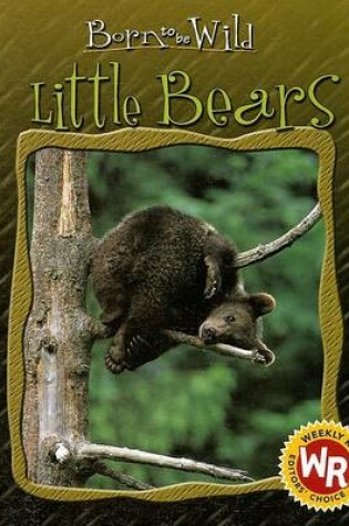 Cover of Little Bears