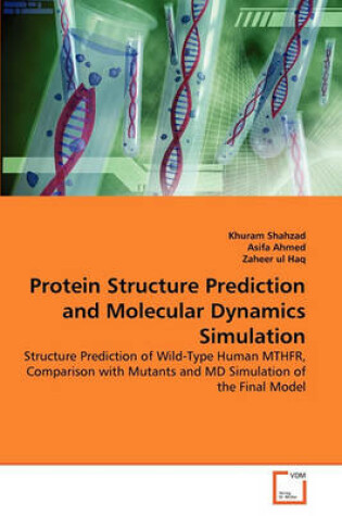 Cover of Protein Structure Prediction and Molecular Dynamics Simulation