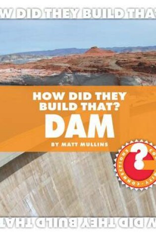 Cover of Dam