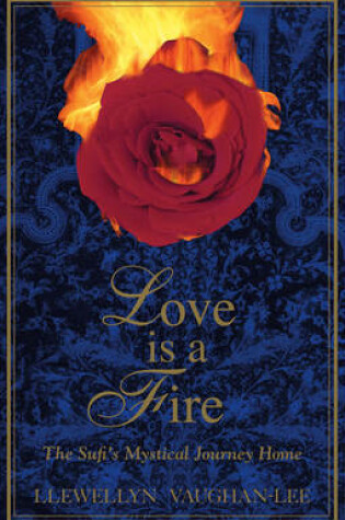 Cover of Love is a Fire