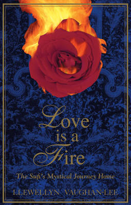 Book cover for Love is a Fire