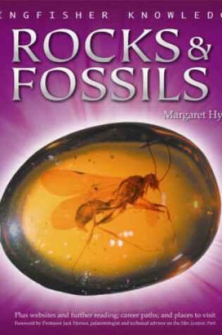 Cover of Kingfisher Knowledge Rocks and Fossils