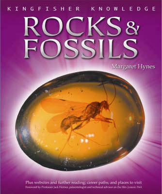 Book cover for Kingfisher Knowledge Rocks and Fossils