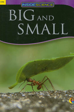 Cover of Big and Small