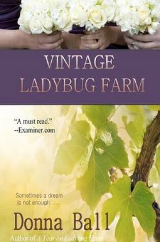 Cover of Vintage Ladybug Farm