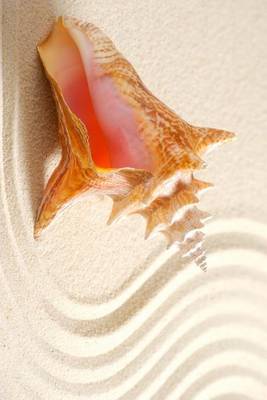 Book cover for A Conch Shell in the Sand of a Cuban Beach