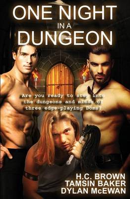 Book cover for One Night in a Dungeon