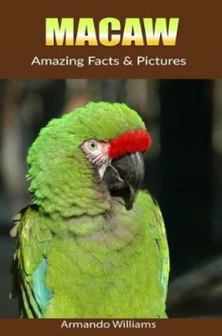 Cover of Macaw