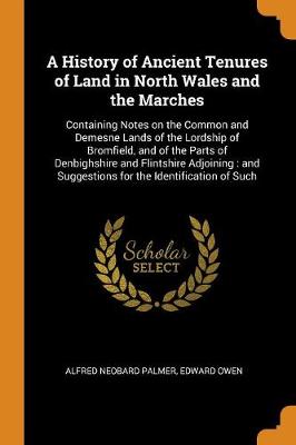 Book cover for A History of Ancient Tenures of Land in North Wales and the Marches