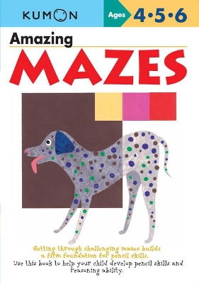 Book cover for Amazing Mazes