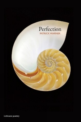 Cover of Perfection