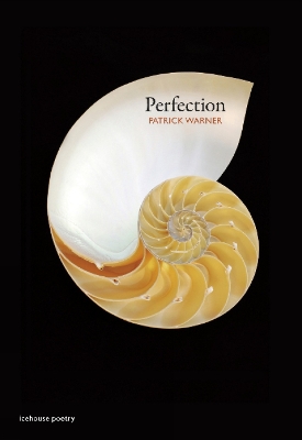 Book cover for Perfection