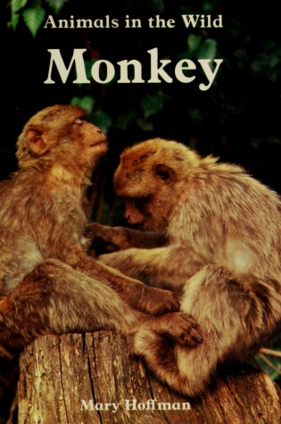 Cover of Animals in Wild-Monkey