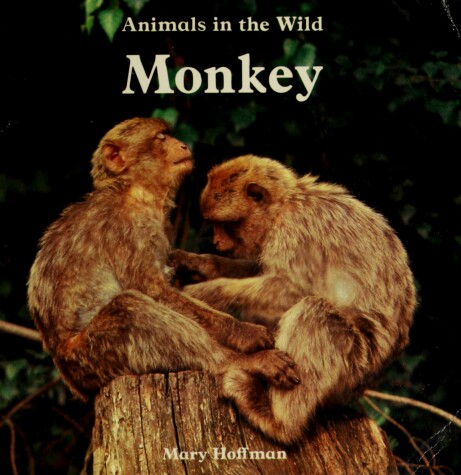 Book cover for Animals in Wild-Monkey