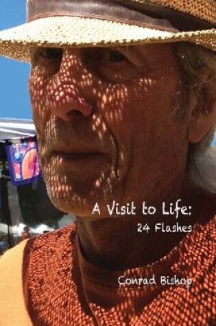 Cover of A Visit to Life