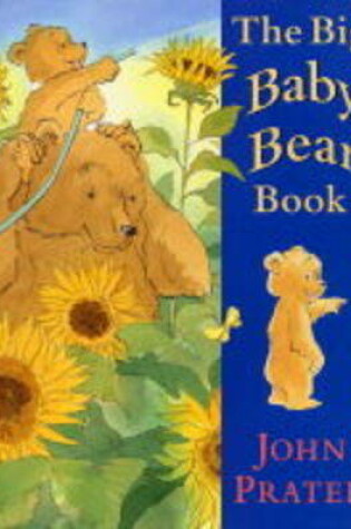 Cover of The Big Baby Bear Book