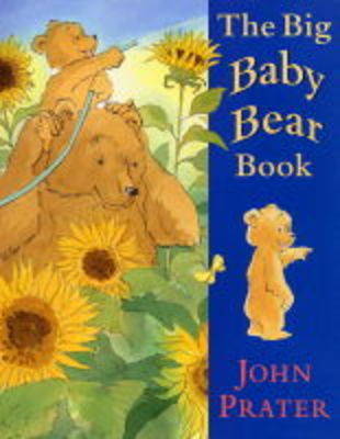 Book cover for The Big Baby Bear Book