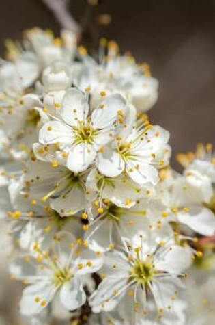 Cover of Hawthorn Blossoming, for the Love of Flowers