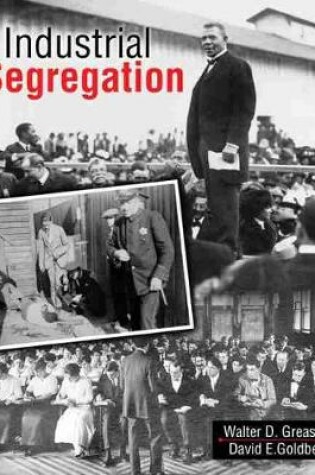 Cover of Industrial Segregation