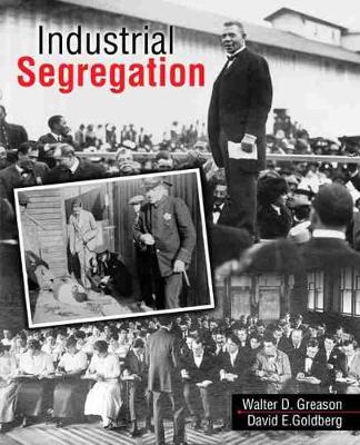Book cover for Industrial Segregation