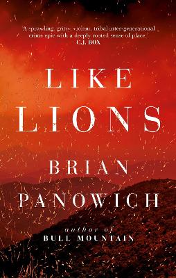 Book cover for Like Lions