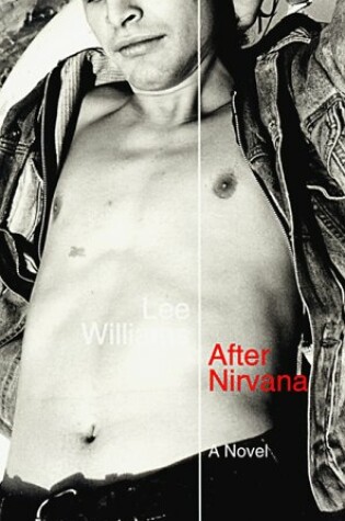 Cover of After NIRVana