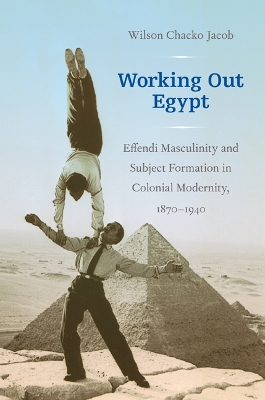 Cover of Working Out Egypt