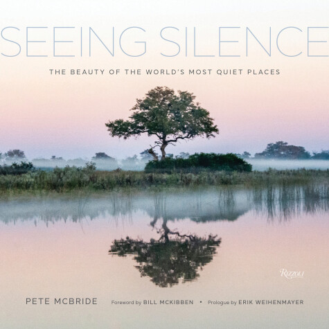 Cover of Seeing Silence