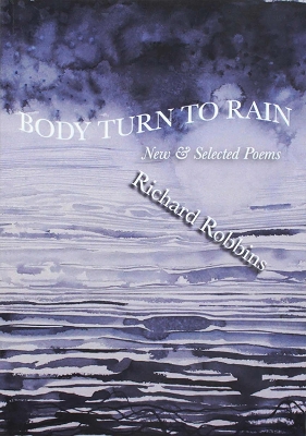 Book cover for Body Turn to Rain