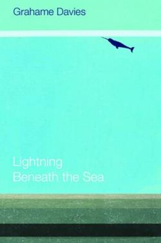 Cover of Lightning Beneath the Sea