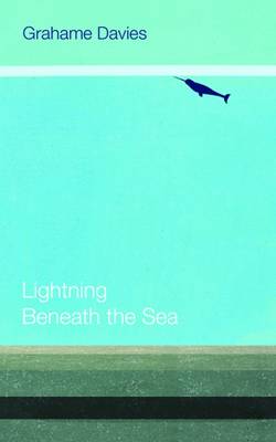 Book cover for Lightning Beneath the Sea