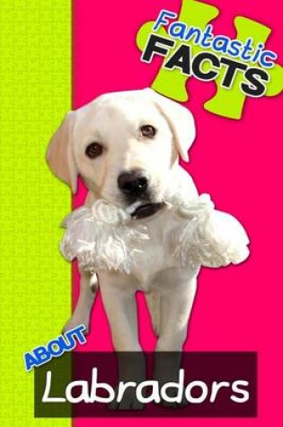 Cover of Fantastic Facts about Labradors