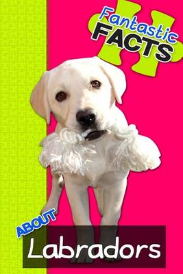 Book cover for Fantastic Facts about Labradors