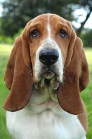 Cover of The Basset Hound Dog Journal
