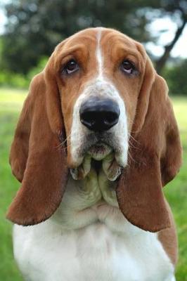 Book cover for The Basset Hound Dog Journal