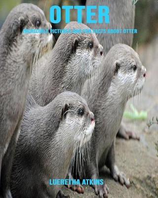 Book cover for Otter